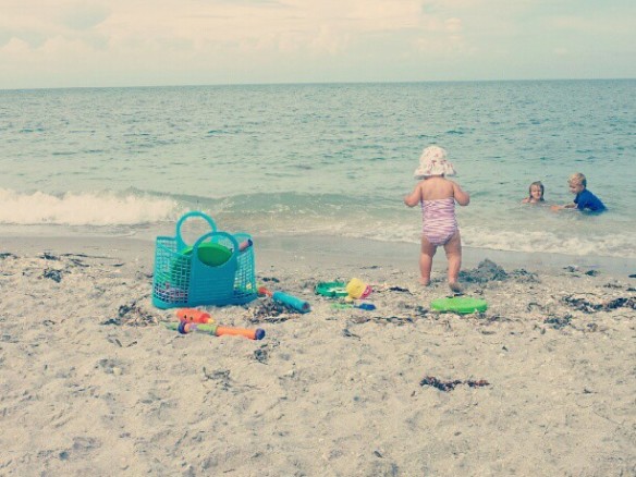Sanibel Island, Florida shelling and sunsets.