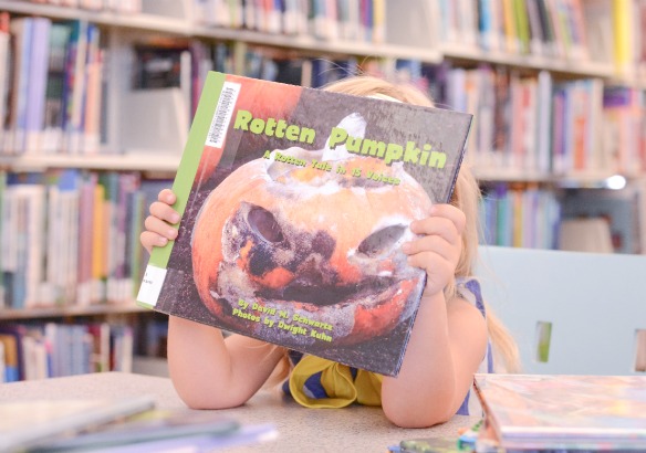 rotten pumpkin book