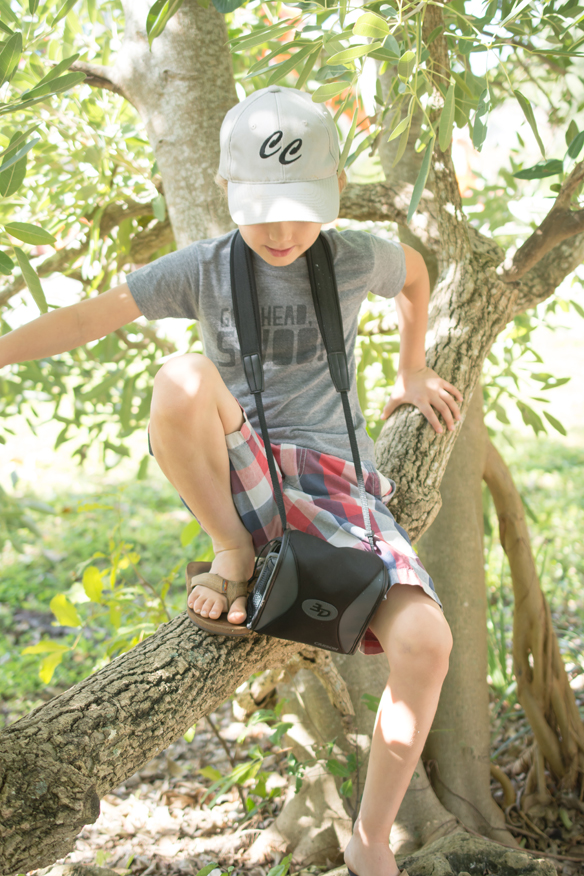 homeschooling climbing trees